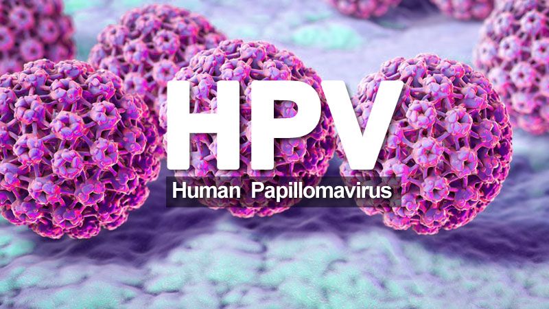 HPV human papillomavirus  - wizualizacja