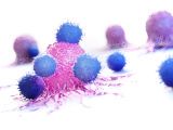 Immunoterapia limfocyty T atakujące komórki raka – ilustracja poglądowa 