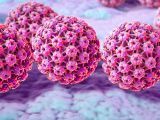 wirus HPV na powierzchni skóry - wizualizacja